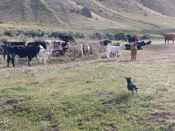Weiser Sand Dunes Picture 8