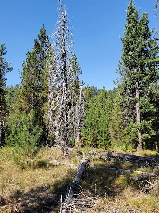 Silver Creek Campground Picture 5