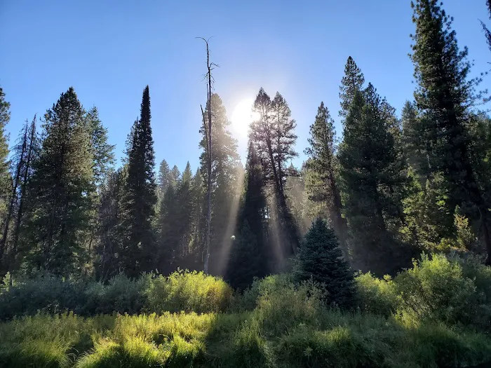 Silver Creek Campground Picture 3