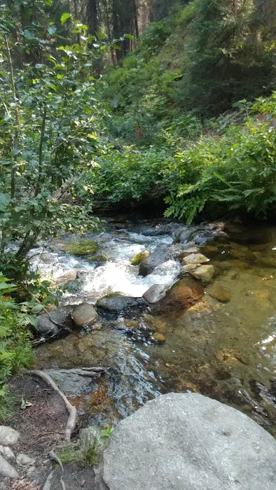 Boiling Springs Campground Picture 9