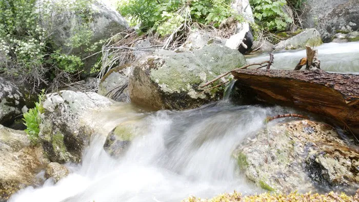 Trail Creek Campground Picture 2