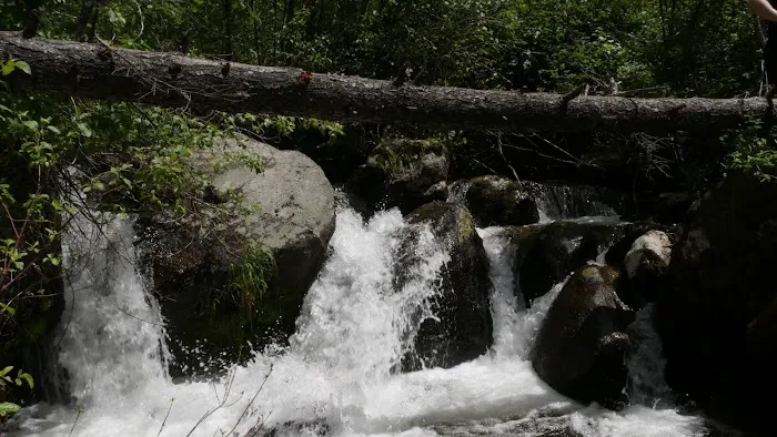 Trail Creek Campground Picture 8
