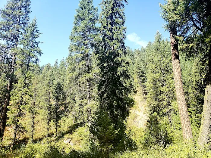 Trail Creek Campground Picture 3