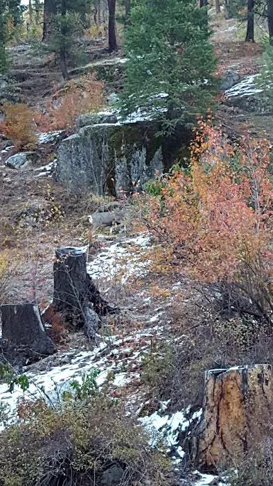 Rattlesnake Campground Picture 3