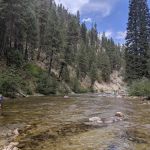 Rattlesnake Campground