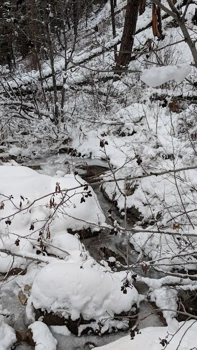 Rattlesnake Campground Picture 5