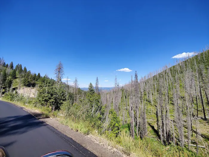 Hardscrabble Campground Picture 1