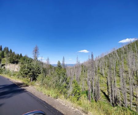 Hardscrabble Campground