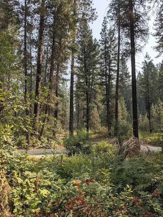 Hardscrabble Campground Picture 10