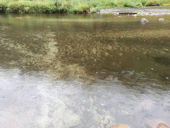 Hardscrabble Campground Picture 9