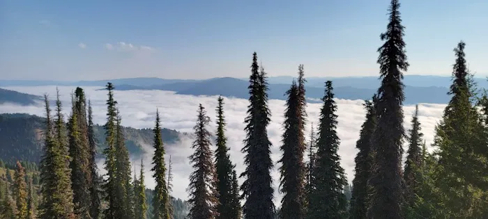 Deadwood Lookout Cabin Picture 1