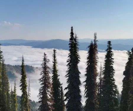 Deadwood Lookout Cabin