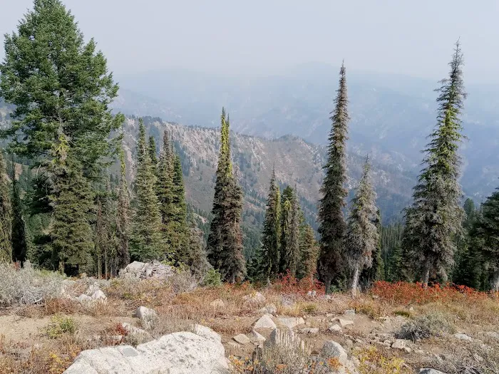 Deadwood Lookout Cabin Picture 7