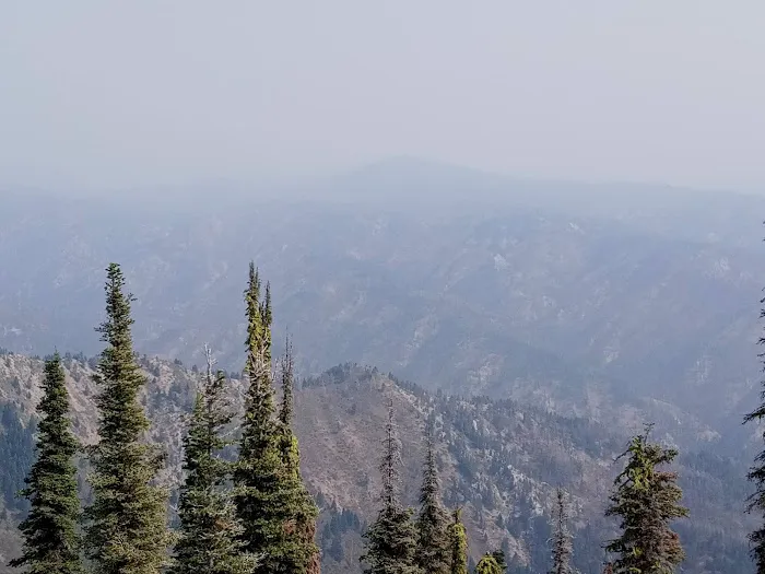 Deadwood Lookout Cabin Picture 6