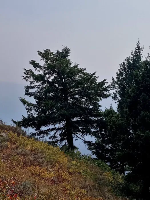 Deadwood Lookout Cabin Picture 9