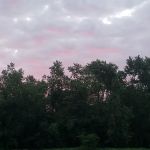 Garden City Mobile Home Community