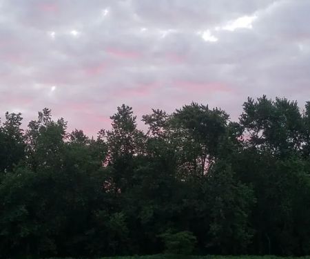 Garden City Mobile Home Community