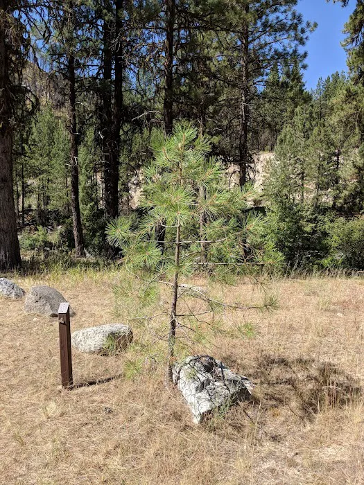 Deadwood Campground Picture 2