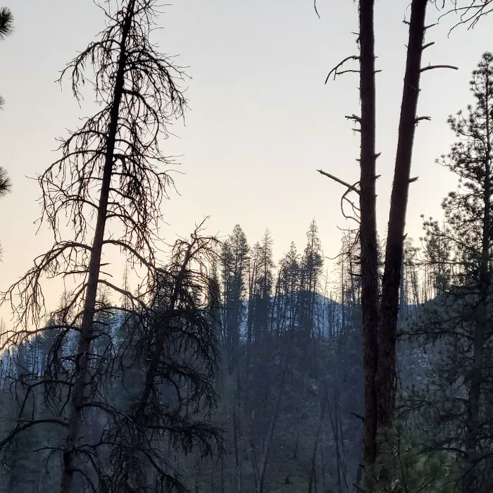 Pine Flats Campground Picture 7