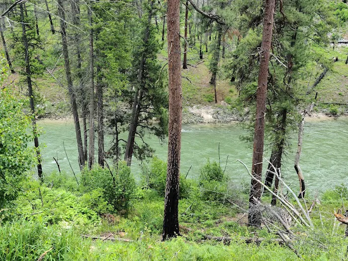 Pine Flats Campground Picture 9