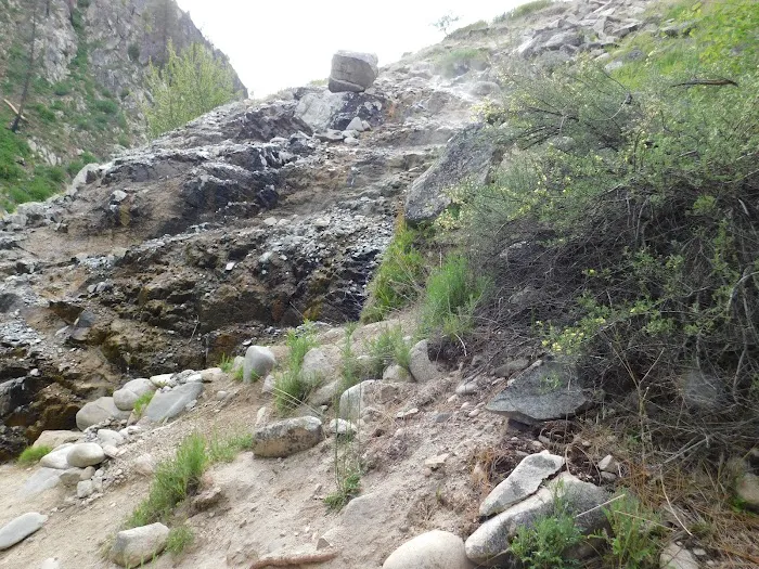 Pine Flats Campground Picture 6
