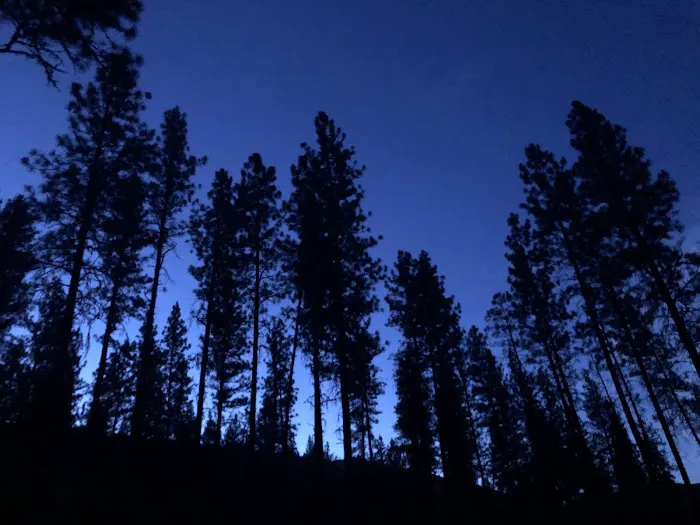 Pine Flats Campground Picture 10