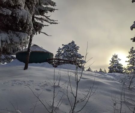 Elkhorn Yurt
