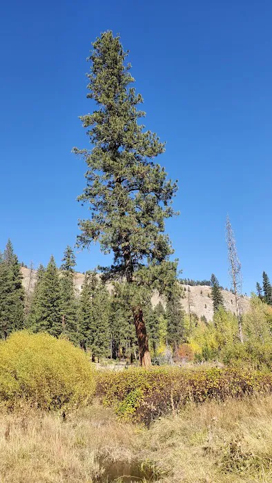Willow Creek Campground Picture 1