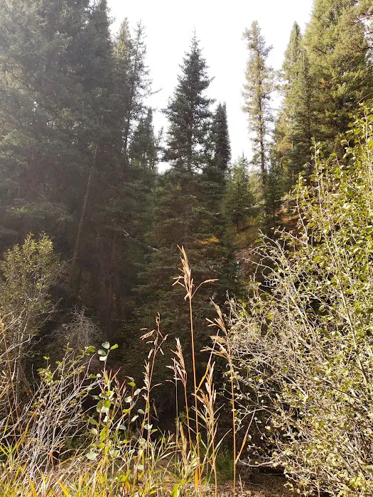 Willow Creek Campground Picture 9