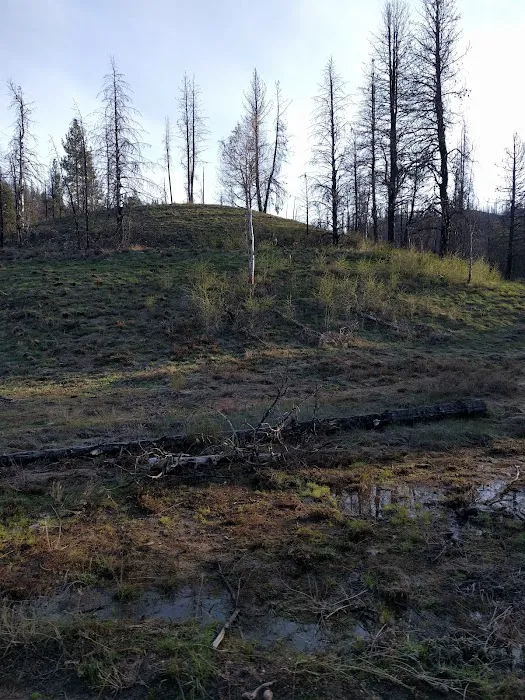 Willow Creek Campground Picture 5