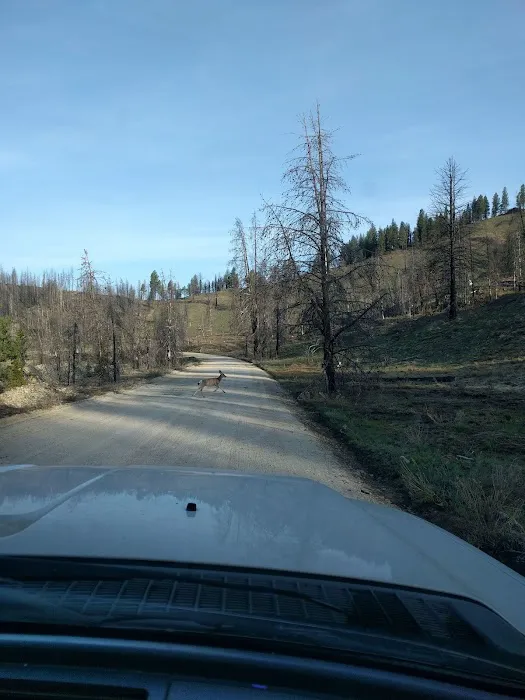 Willow Creek Campground Picture 4