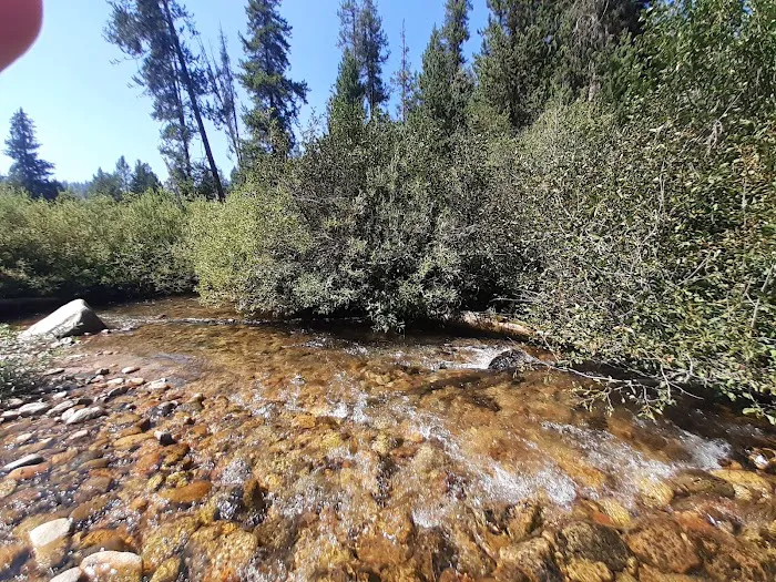 Willow Creek Campground Picture 6