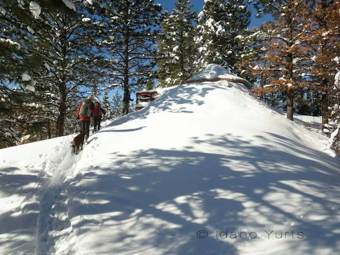 Skyline Yurt Picture 4
