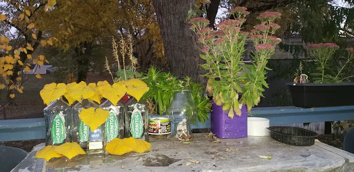 Pondarosa Community Picture 10