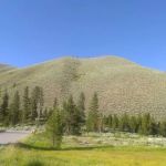 Mormon Bend Campground