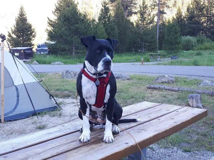 Mormon Bend Campground Picture 10