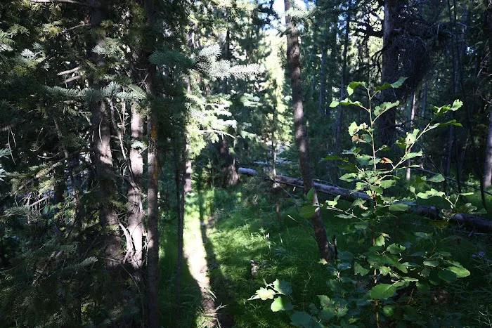 Sunny Gulch Campground Picture 6