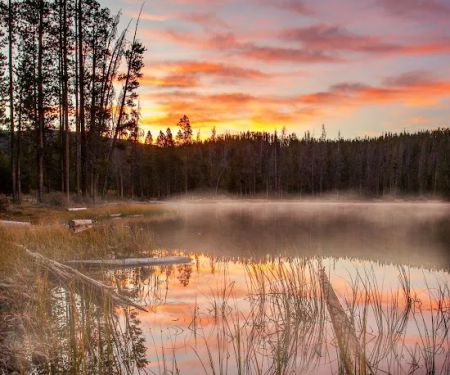 Chinook Bay Campground