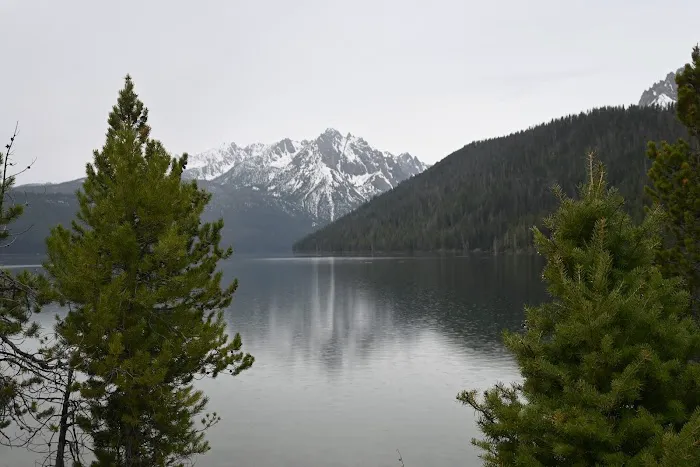 Chinook Bay Campground Picture 9