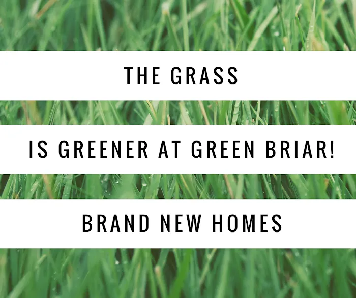Green Briar Community Picture 9