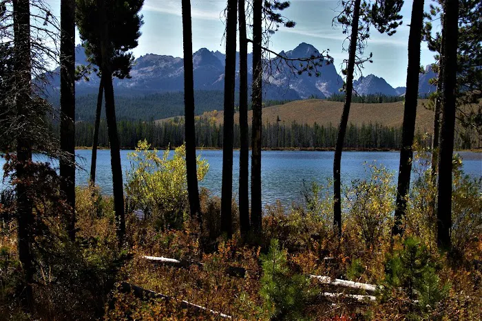 Mountain View Campground Picture 1