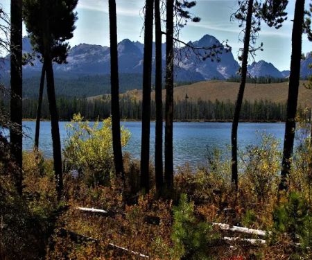 Mountain View Campground