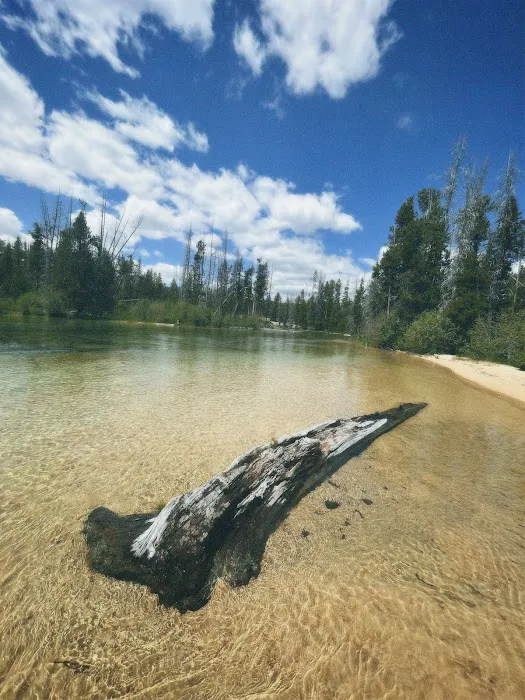 Redfish Outlet Campground Picture 3