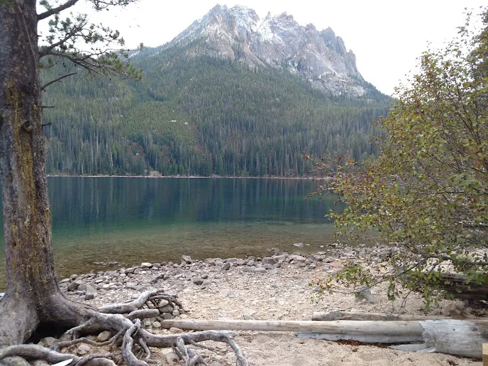 Redfish Inlet Campground Picture 8