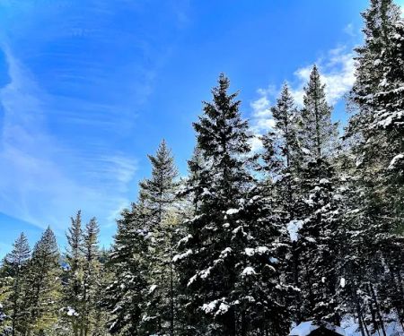 Upper O'Brien Campground