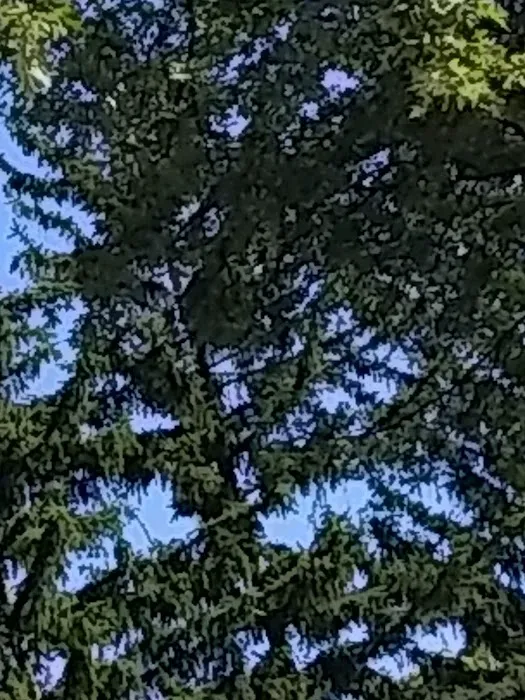 Eckert Mobile Home Court Picture 2