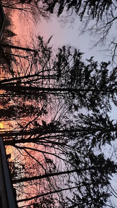 Eckert Mobile Home Court Picture 1