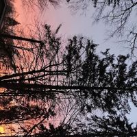 Eckert Mobile Home Court ico