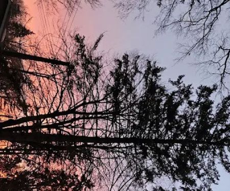 Eckert Mobile Home Court