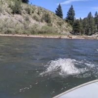 Marshall Creek Campground ico